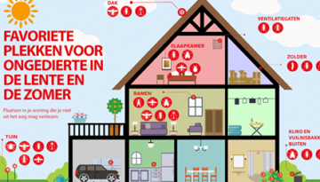 9 tips voor ongediertepreventie in de lente en zomer